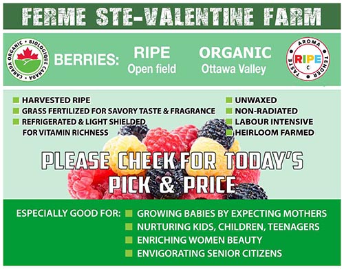 STE-VALENTINE FARM