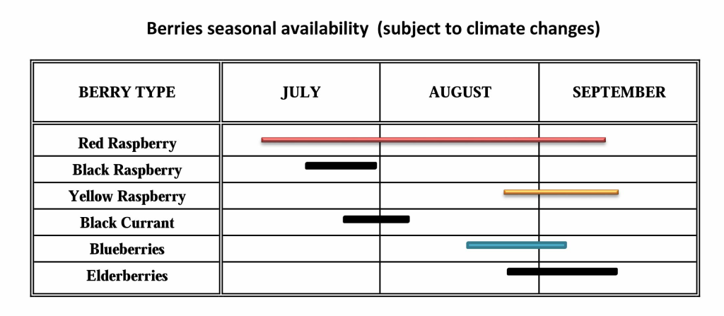 picking-season-en